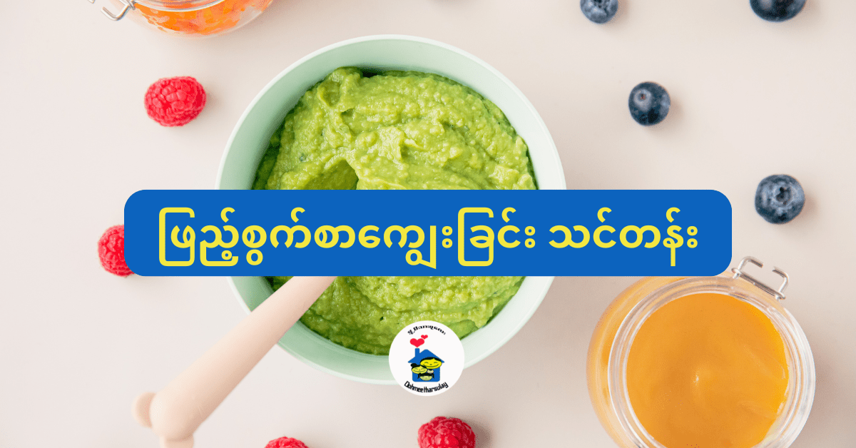 ဖြည့်စွက်စာကျွေးမွေးခြင်းသင်တန်း (Online - Recorded Lessons + Zoom)