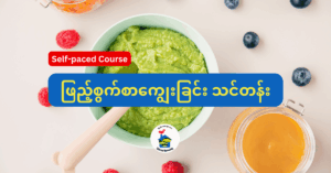 ဖြည့်စွက်စာကျွေးမွေးခြင်းသင်တန်း